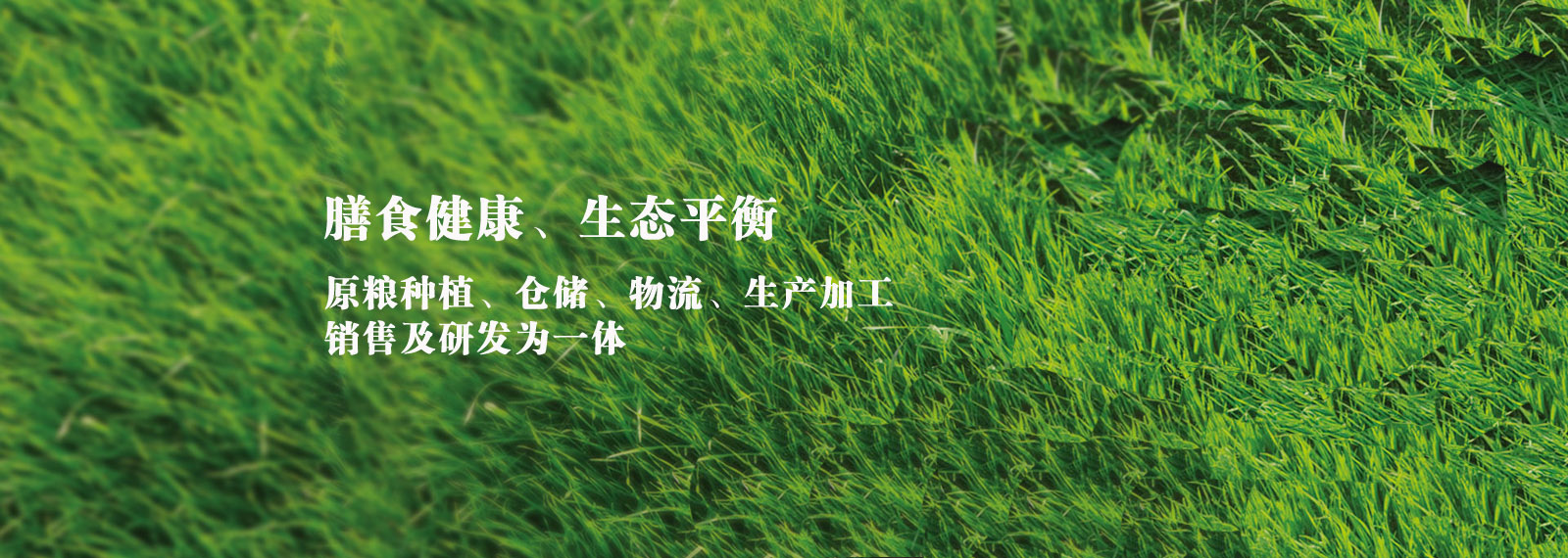 url(http://m.sulopurses.com/style/banner1.jpg)